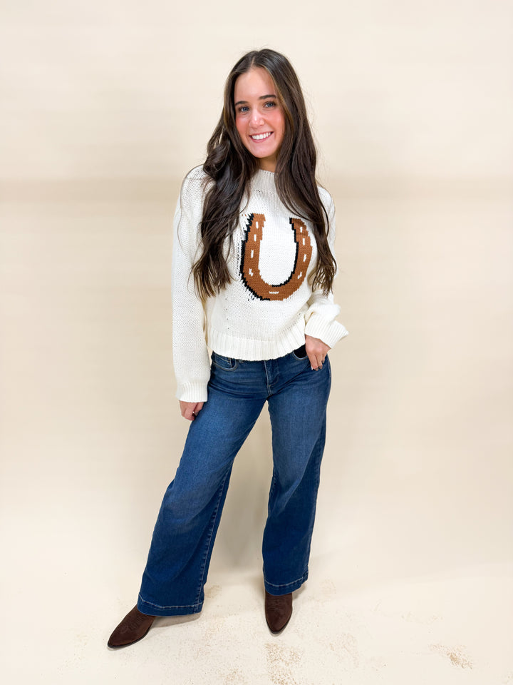 WESTERN WONDERLAND SWEATER