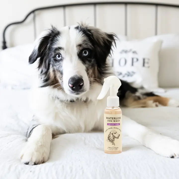 MIXOLOGIE WATERLESS DOG WASH